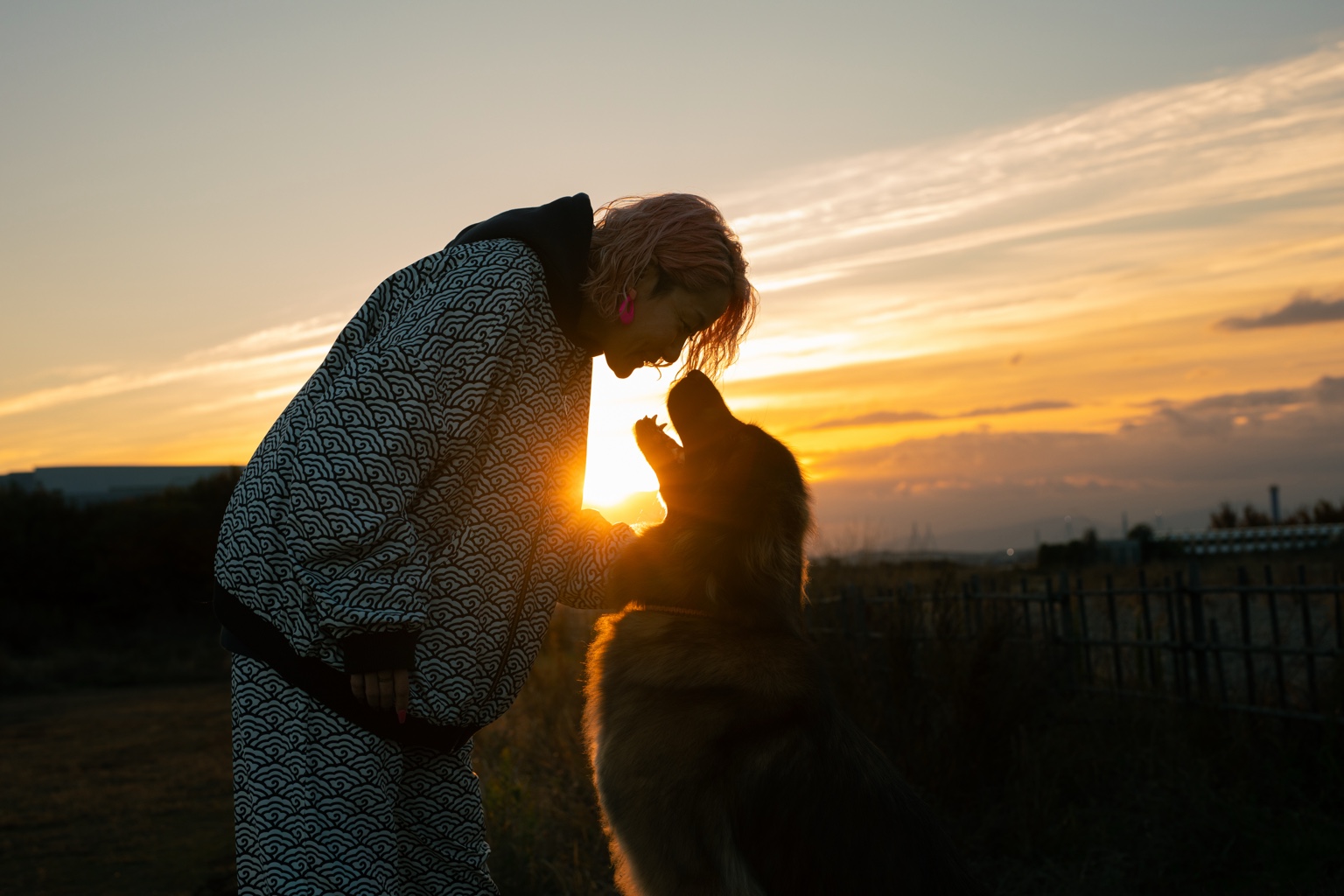 夕空の下でわんちゃんと向き合う姿