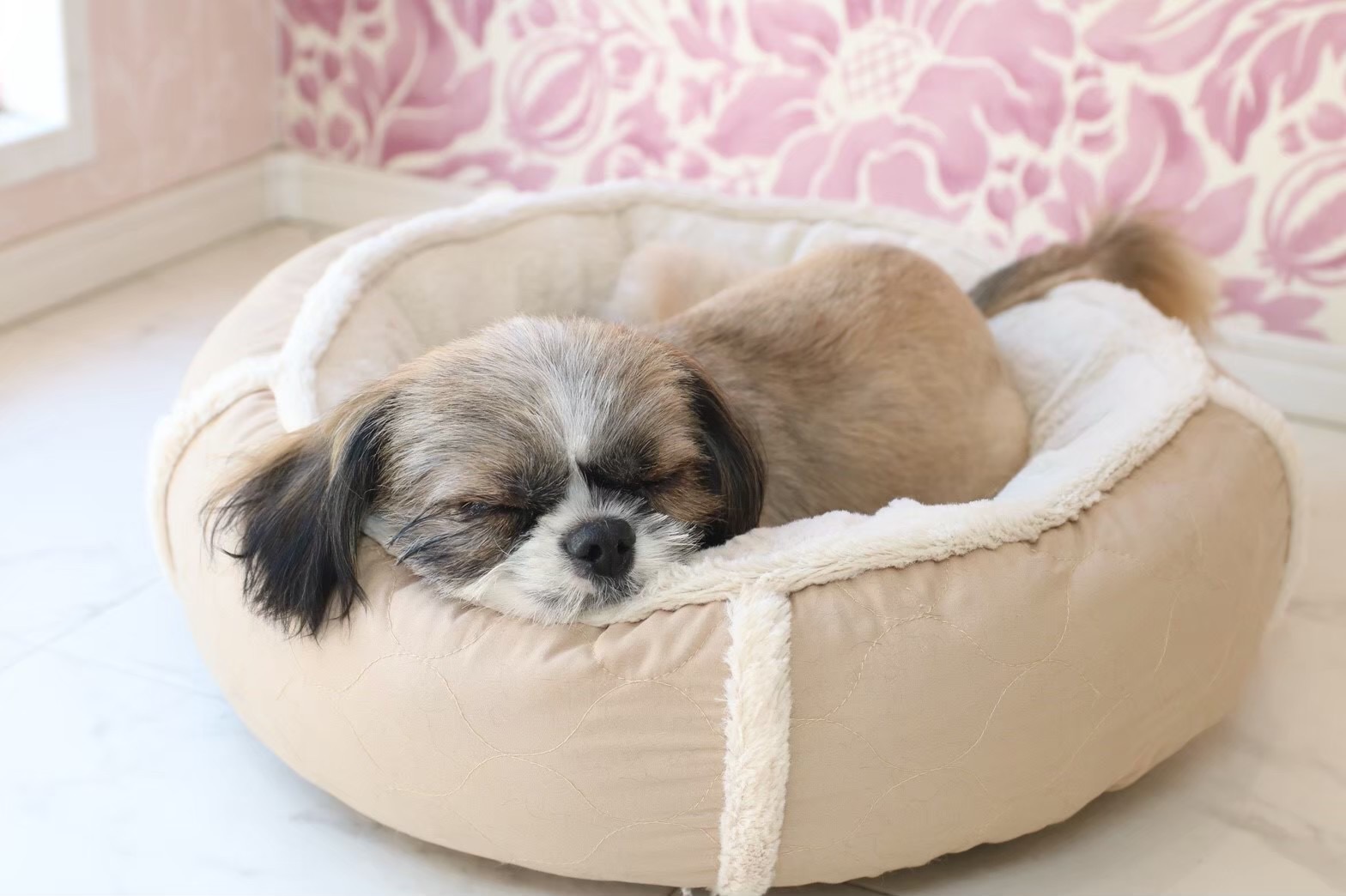 ベッドで安心して眠るわんちゃん